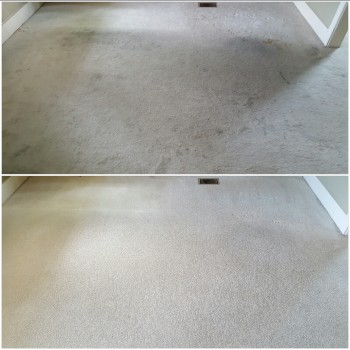 Heaven's Best Carpet Cleaning of Central PA Image