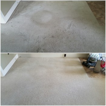Heaven's Best Carpet Cleaning of Central PA Image