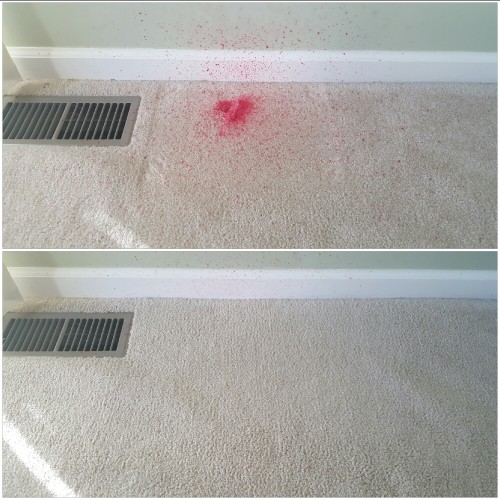 Heaven's Best Carpet Cleaning of Central PA Image