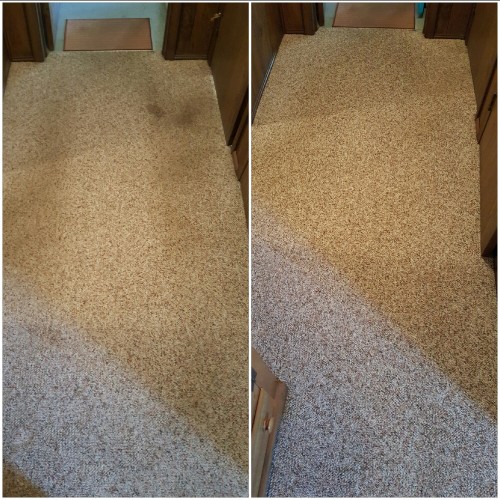 Heaven's Best Carpet Cleaning of Central PA Image