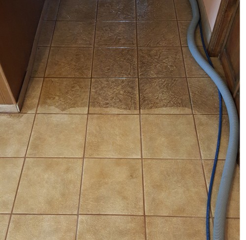 Heaven's Best Carpet Cleaning of Central PA Image