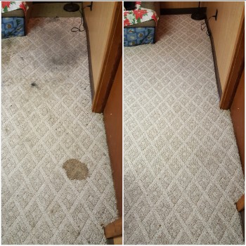 Heaven's Best Carpet Cleaning of Central PA Image