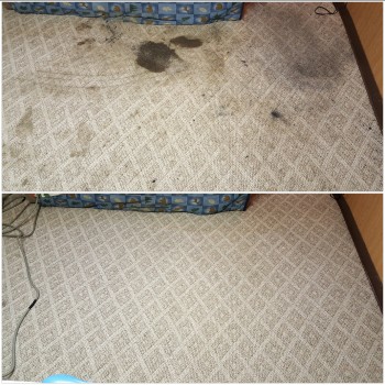 Heaven's Best Carpet Cleaning of Central PA Image