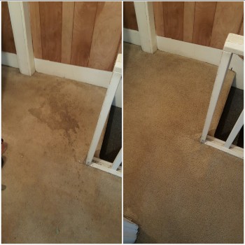 Heaven's Best Carpet Cleaning of Central PA Image
