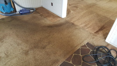 Heaven's Best Carpet Cleaning of Central PA Image