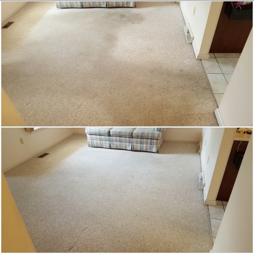 Heaven's Best Carpet Cleaning of Central PA Image