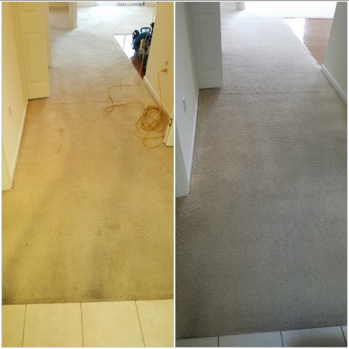Heaven's Best Carpet Cleaning of Central PA Image