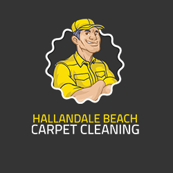 Carpet Cleaning Hallandale Beach Logo