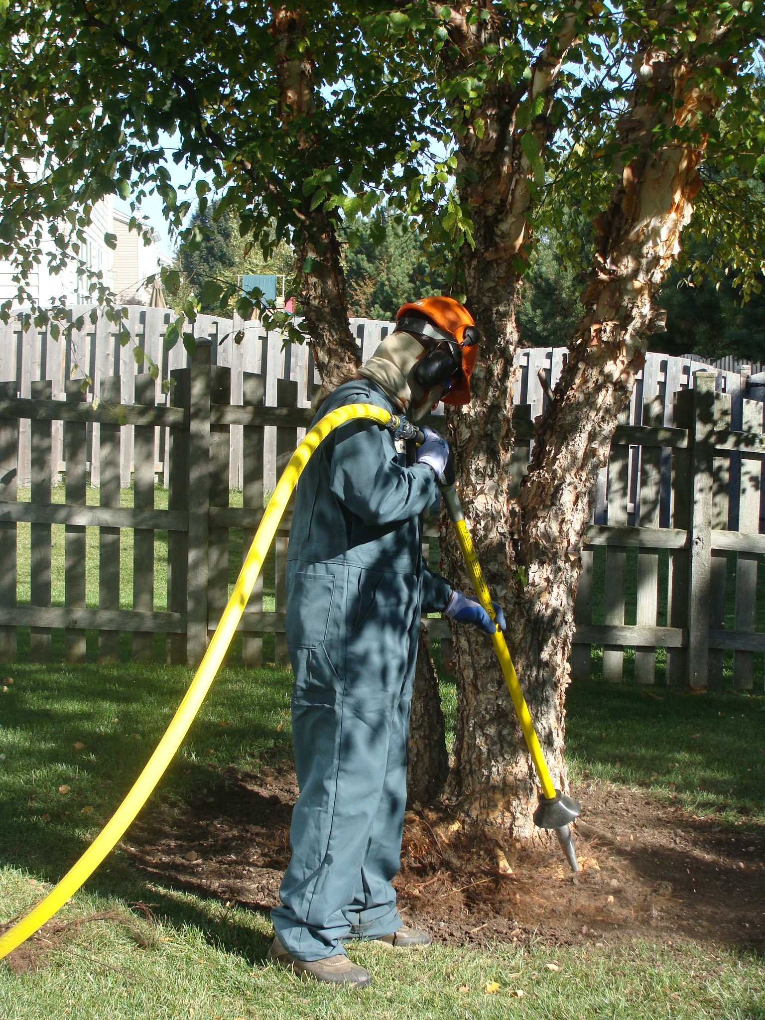 Turf Care Enterprises, Inc. Image