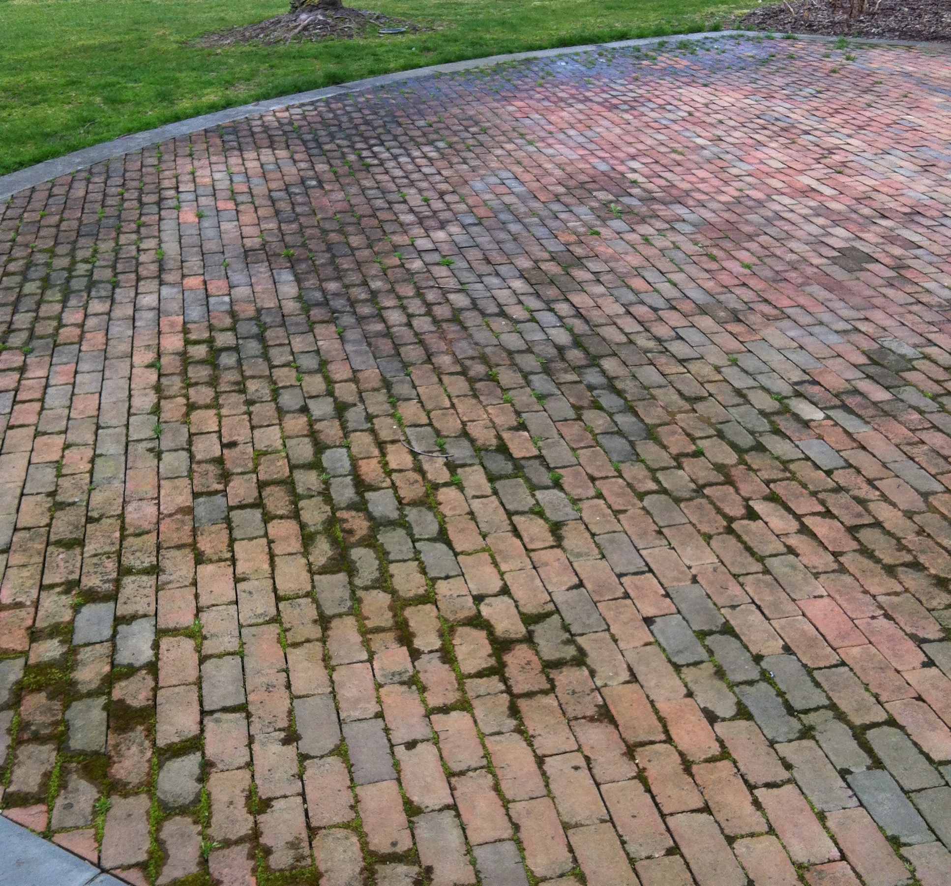 RJ's Gutter Cleaning Image