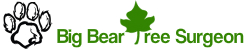 Big Bear Tree Surgeon Logo