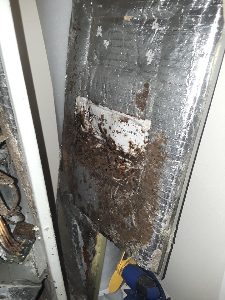 Clean Ducts Orlando Air Duct Cleaning Service Orlando