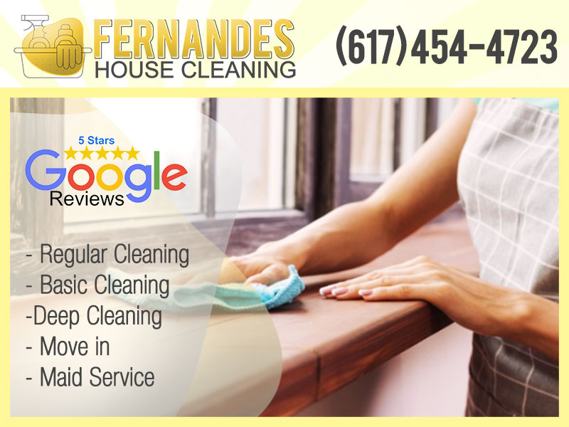 Fernandes Cleaning Image