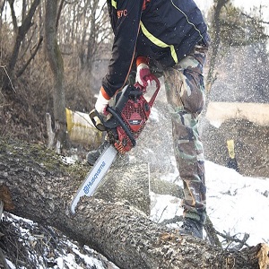 Ladue Tree Service Logo
