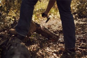 Tree Service Columbus GA Image