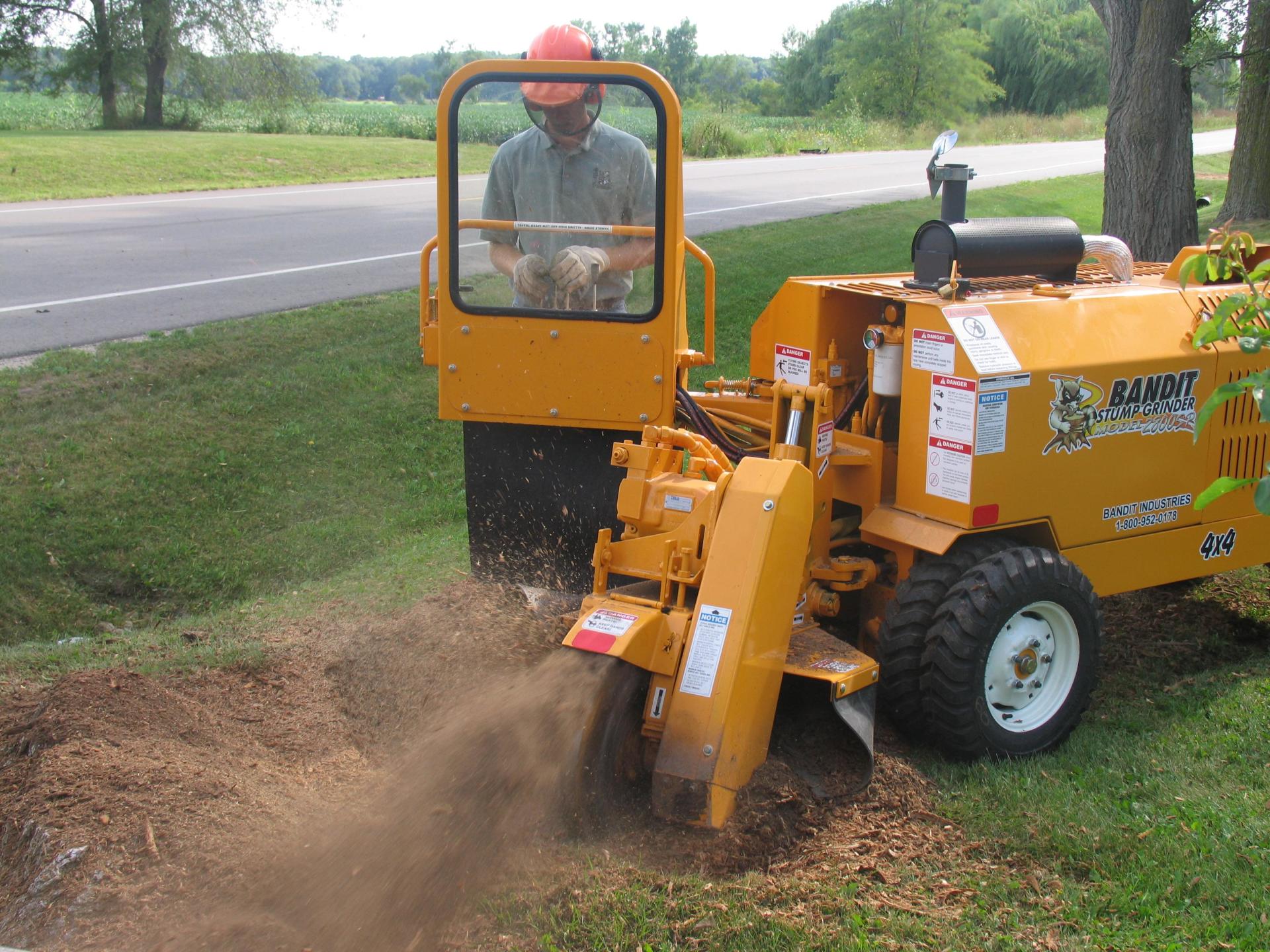 On Time Tree Service Image