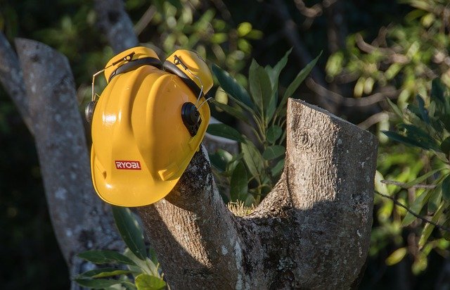 On Time Tree Service Image