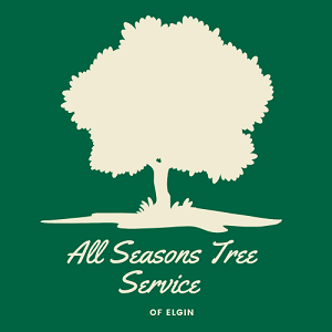 All Seasons Tree Service of Elgin Logo