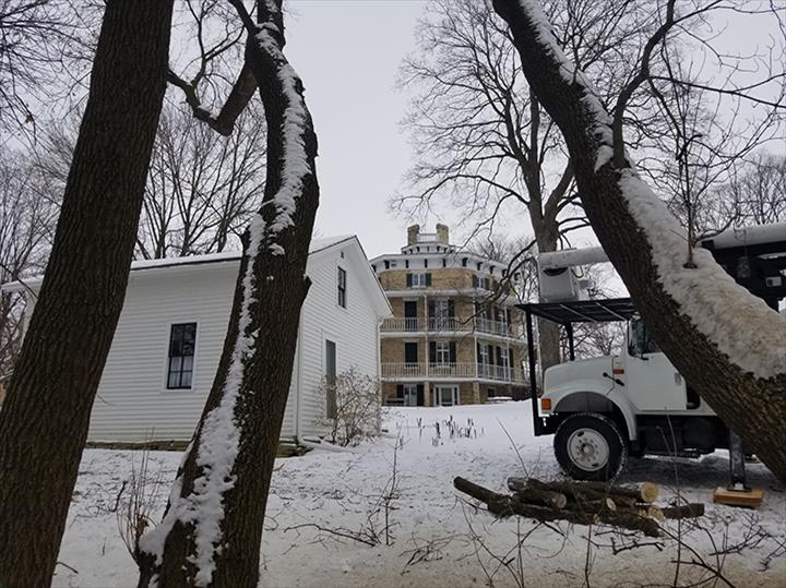 Kauffeld Tree Care Image