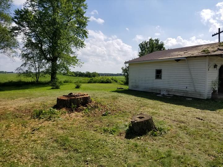 Kauffeld Tree Care Image