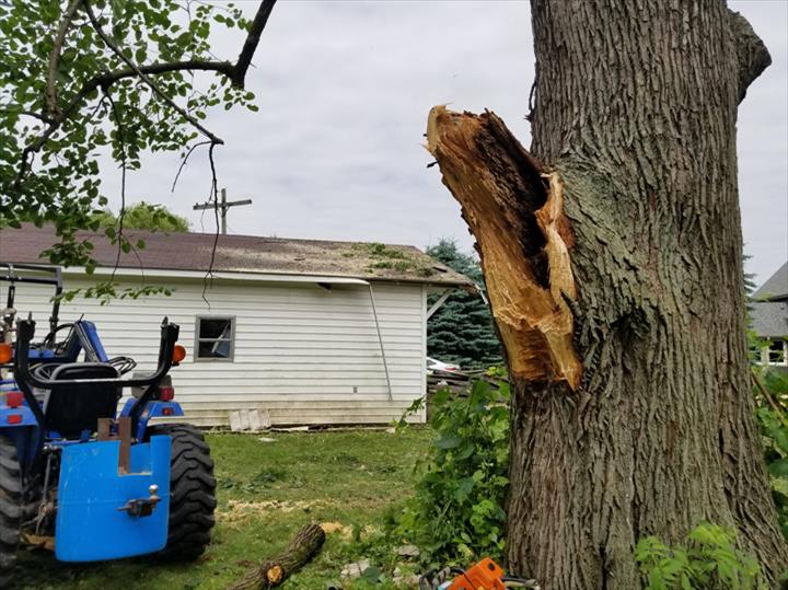 Kauffeld Tree Care Image