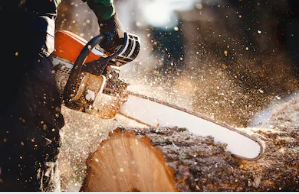 Tree Service Pro Chicago Image