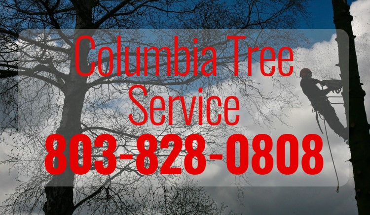 Columbia Tree Service Logo