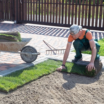 Denver Sprinkler and Landscape inc. Image