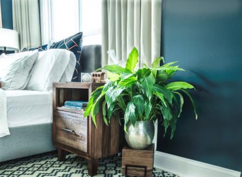 BraePark Design, LLC Image