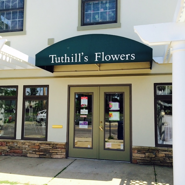 PowerPaint Plus Image