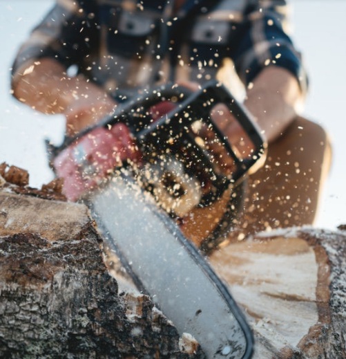 Tree Service Atlanta Image