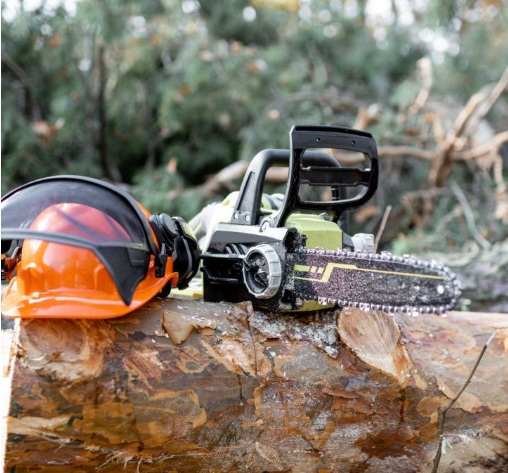 Tree Service Atlanta Image