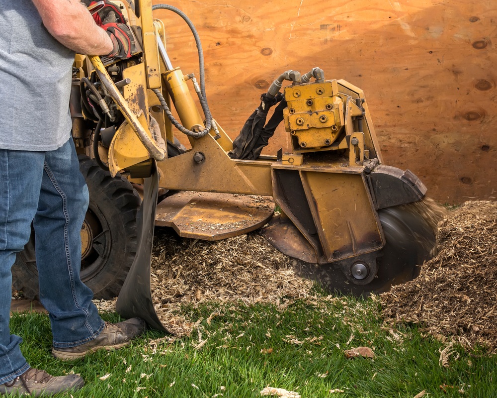 Tree Service Commerce Image