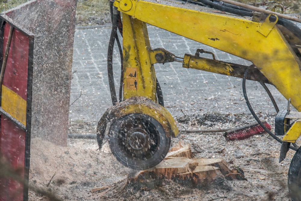 Tree Service Commerce Image