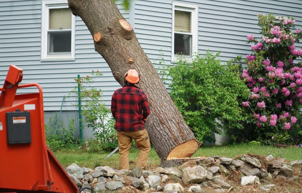 Tree Service Commerce Image
