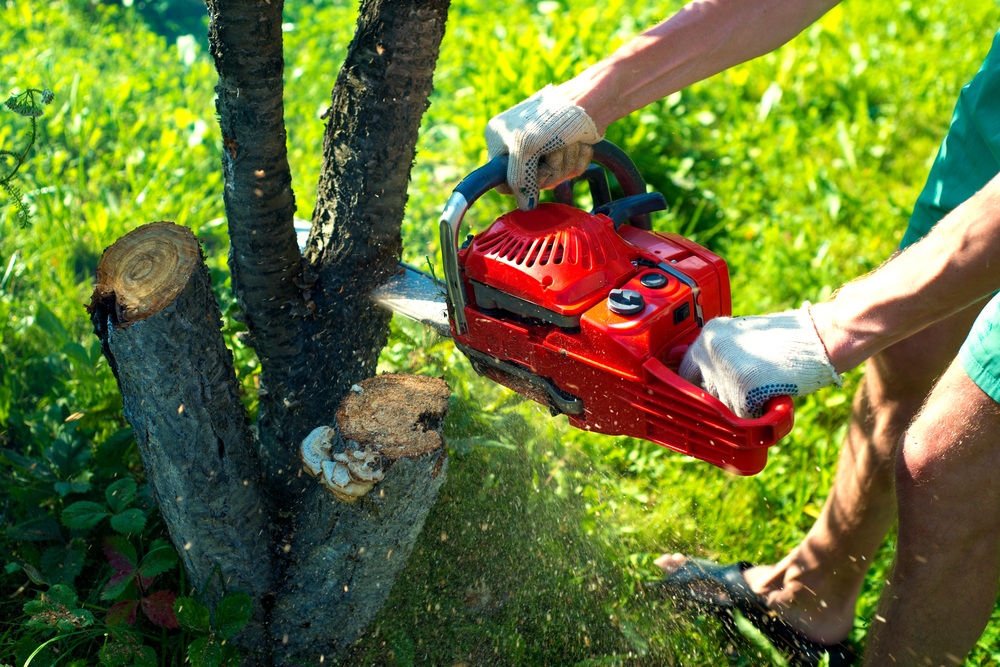 Tree Service Commerce Image