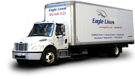 Eagle Lines Image