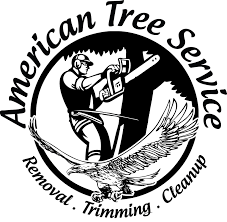 The Tree Removal Image