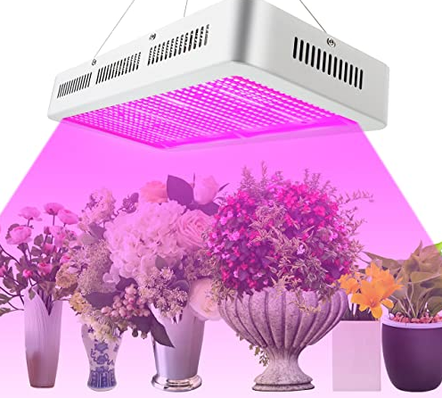 BestOfGrowlights Logo