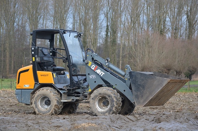 GRMI Tree Removal Image