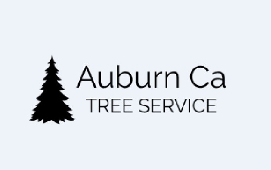 Auburn Ca Tree Service Logo