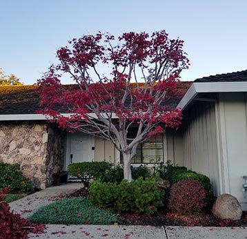 GF Landscaping Image
