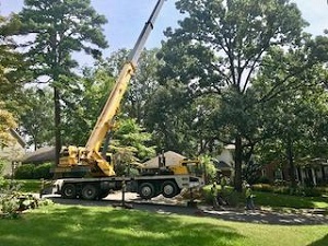 Economy Tree Service of Hoover Image