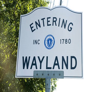 Wayland Concrete Cutting Image