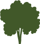Ventura Tree Service Pros Image