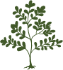 Ventura Tree Service Pros Image