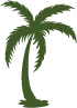 Ventura Tree Service Pros Image