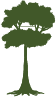 Ventura Tree Service Pros Image