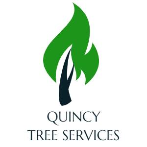 Quincy Tree Services Logo