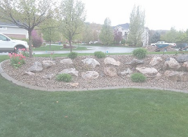 Landeros Lanscaping Image